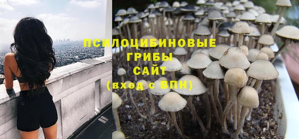 ALPHA PVP Армянск