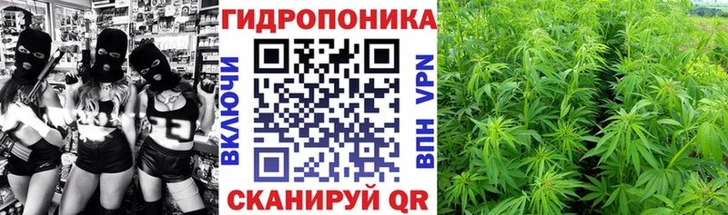 Шишки марихуана семена  где купить   kraken зеркало  Соль-Илецк 